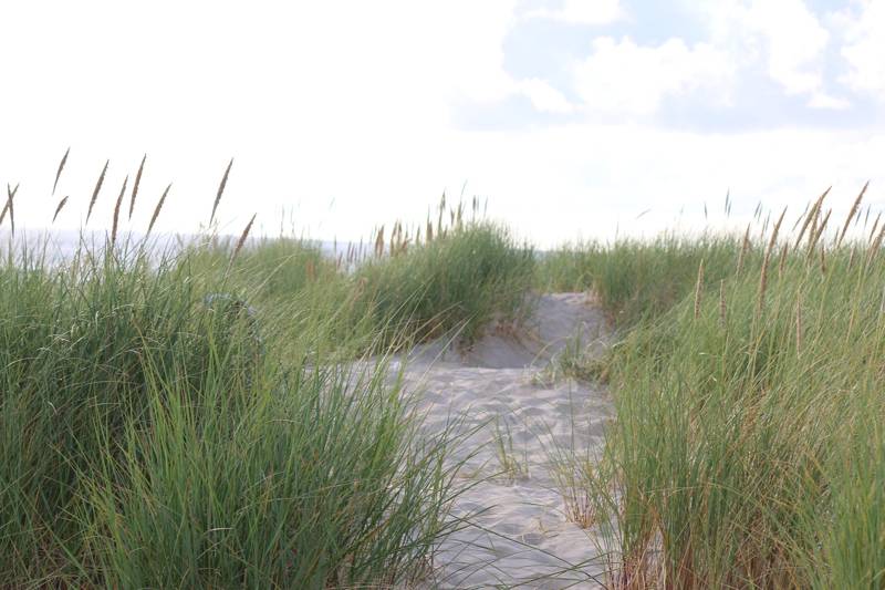 Strandurlaub Last Minute Callantsoog LekkerNaarZee